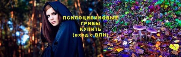 метадон Алексеевка