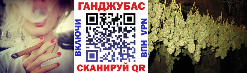 Бошки марихуана планчик  наркота  Жуковка 